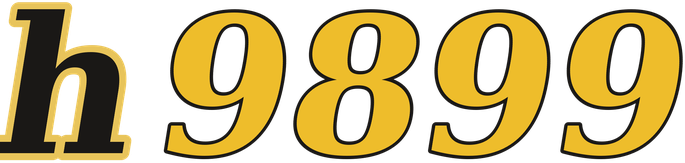 h9899 โลโก้